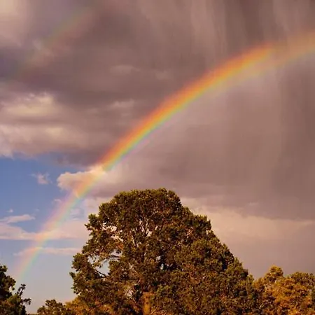 Raj Muraj Apartament